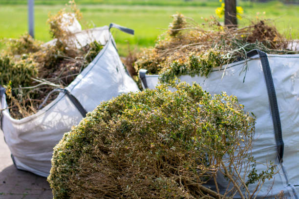 Best Same-Day Junk Removal  in El Jon, CA