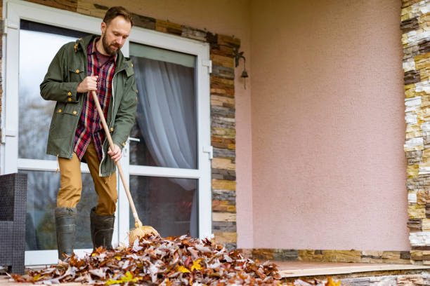 Best Yard Cleanup Services  in El Jon, CA